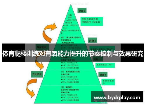 体育爬楼训练对有氧能力提升的节奏控制与效果研究