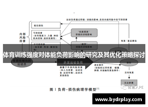 体育训练强度对体能负荷影响的研究及其优化策略探讨